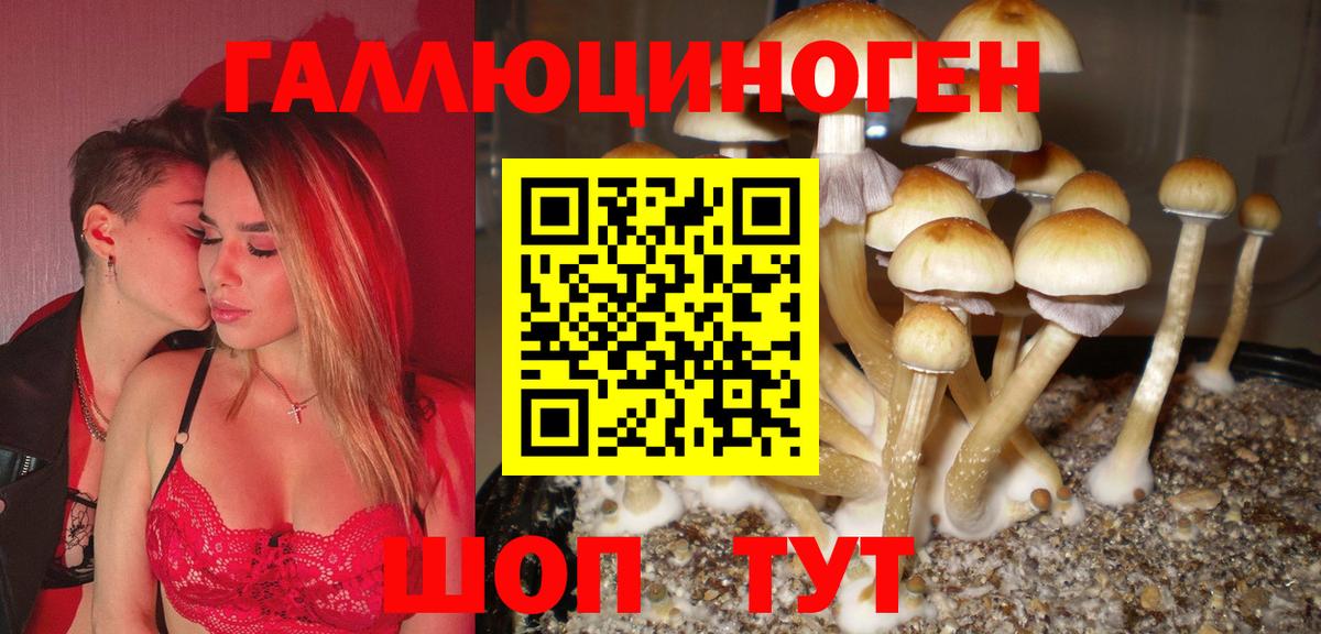 Псилоцибиновые грибы ЛСД Ставрополь