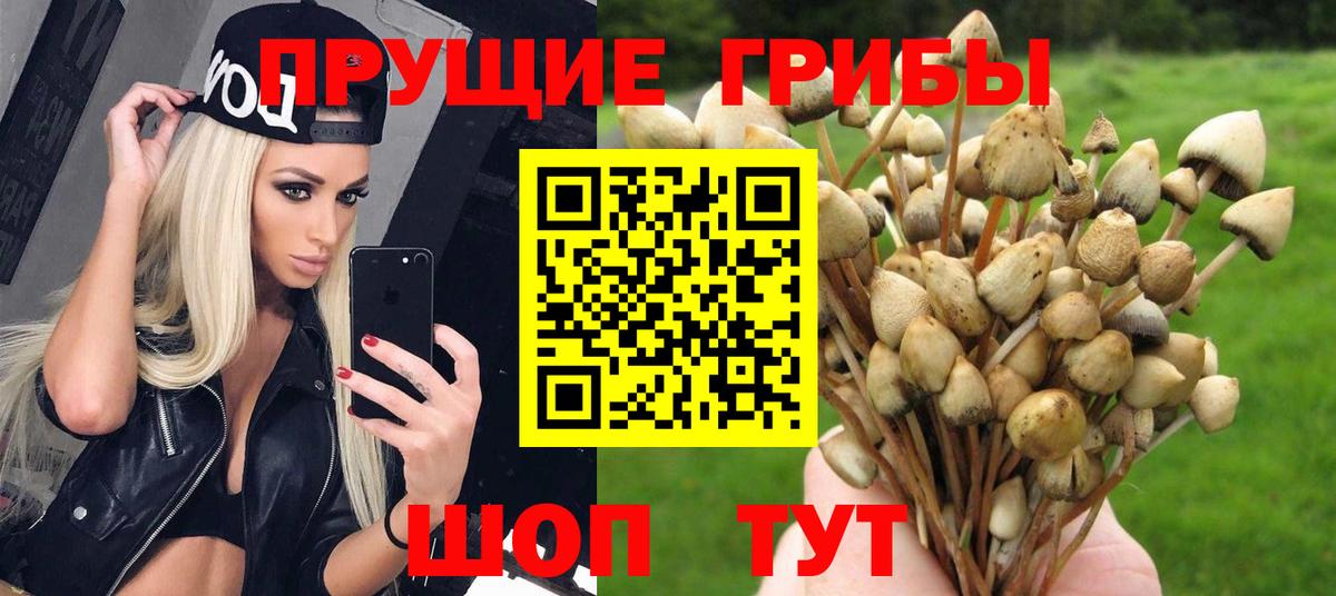 Псилоцибиновые грибы мухоморы  Вход с VPN  Ставрополь  Псилоцибиновые грибы прущие грибы 