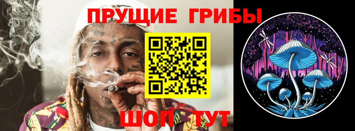 МЕФ Ставрополь